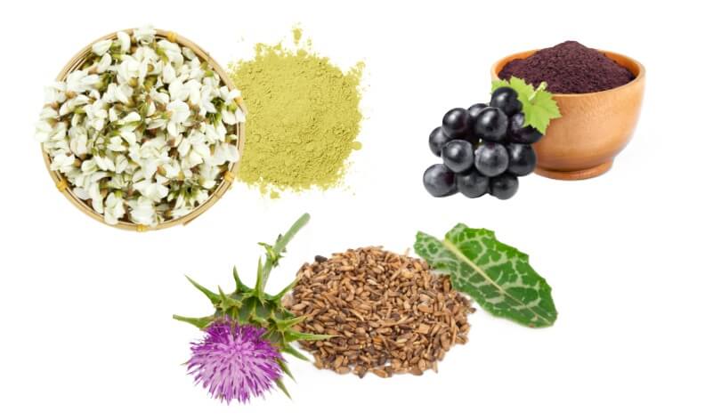 Key Ingredients & Benefits of Akka Premium Liver Cleanse